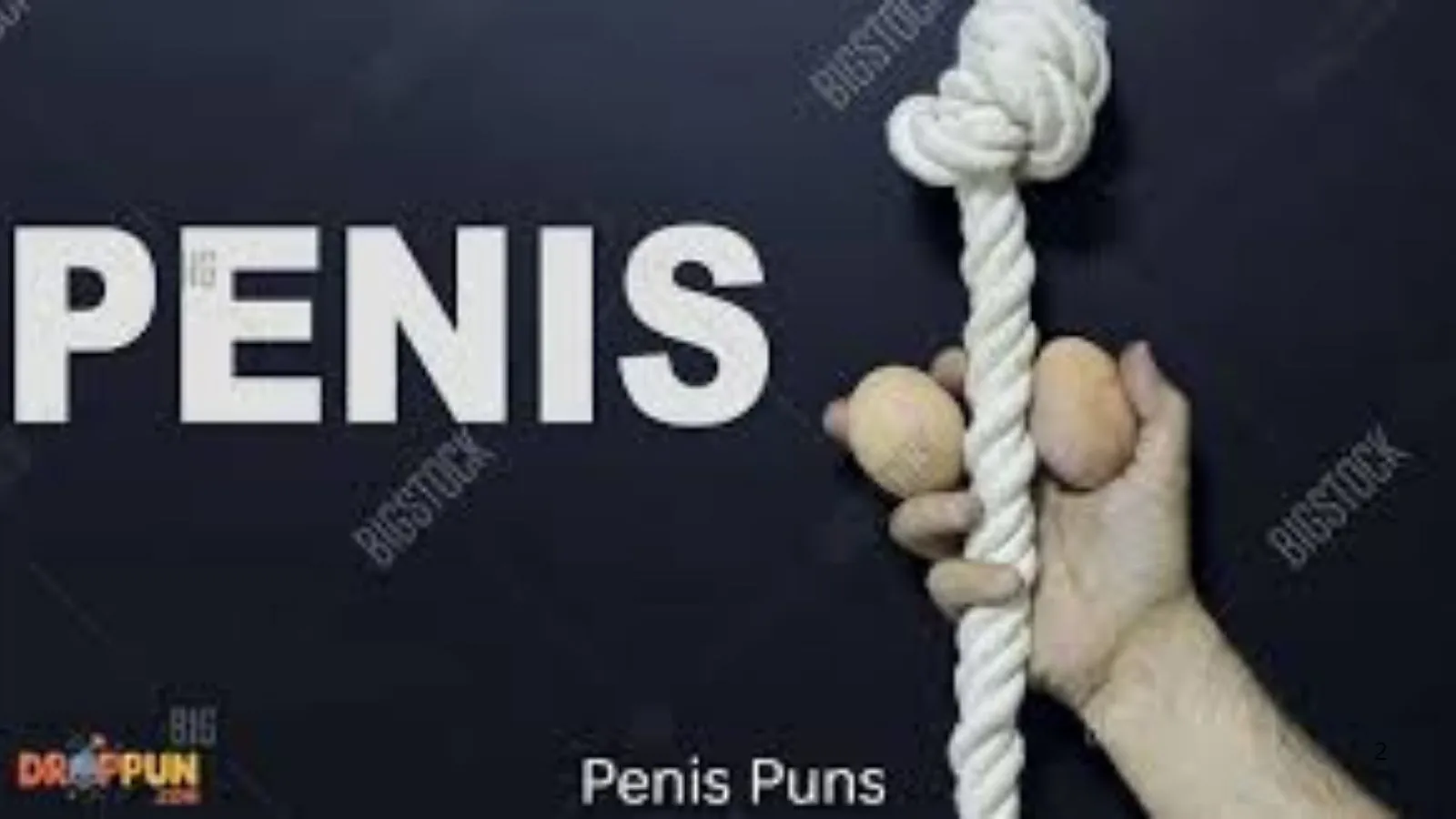 Penis Puns